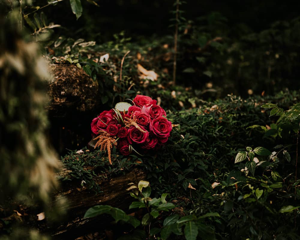 borumba styled shoot